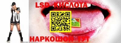 альфа пвп VHQ Будённовск