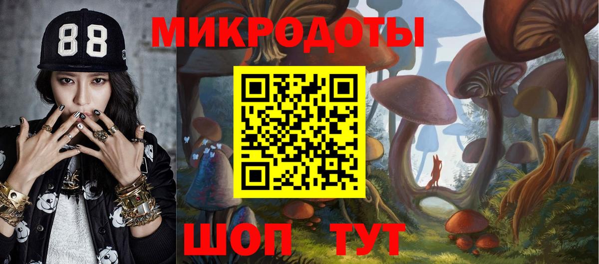 Галлюциногенные грибы прущие грибы  Вход с VPN  Тавда 