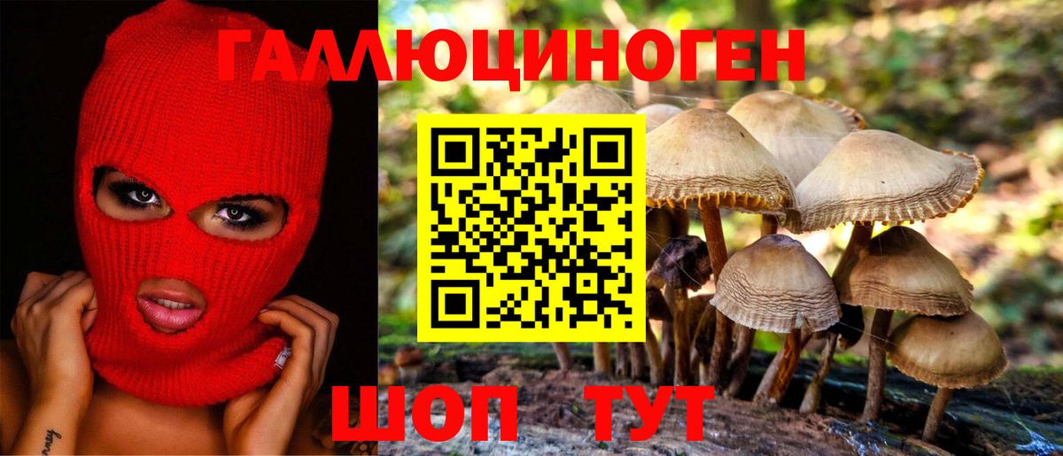 Псилоцибиновые грибы GOLDEN TEACHER Тавда